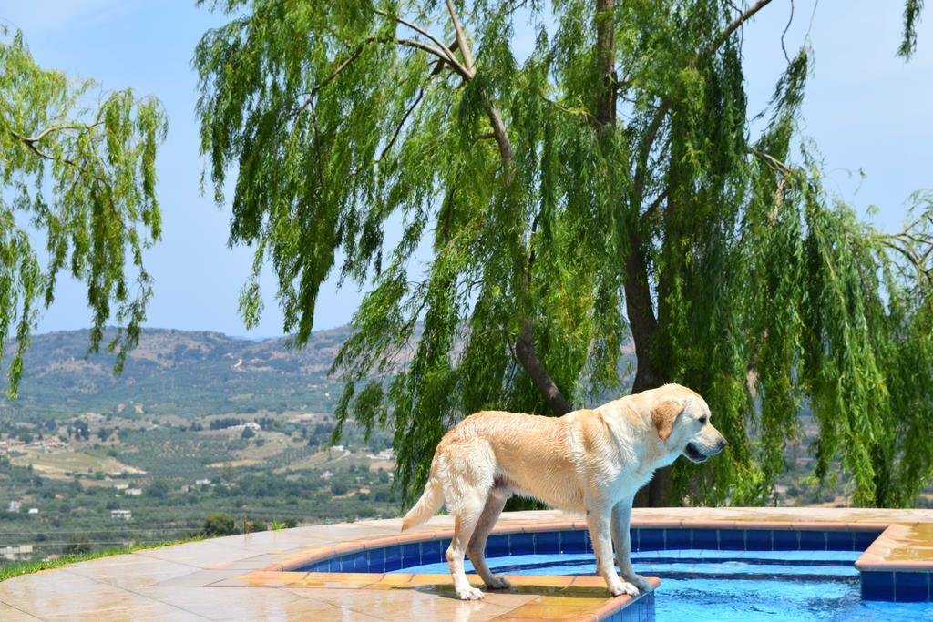 Aspalathos Villas Fílippos Exteriér fotografie